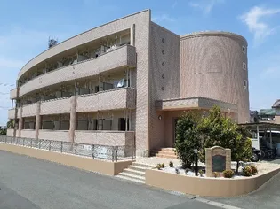 フェアリーヒルズ ヒビキの画像