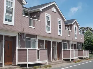 アースブラウンK TIIIの画像