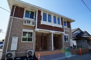 ルピナスの画像