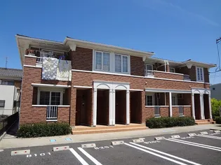 ヴィオラ Bの画像