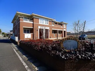 クリスマスローズAの画像