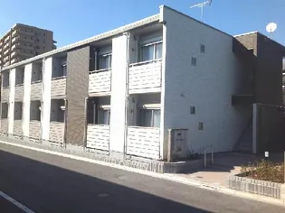 クレイノセンプリスの画像