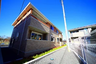 オリーブIの画像