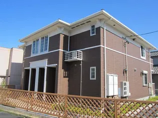 プリムローズの画像