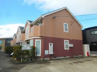 プリムローズの画像