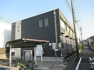 レオネクストヴィオラの画像