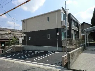 レオネクスト桜霞の画像