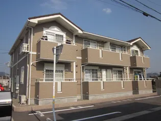 グラシアスの画像