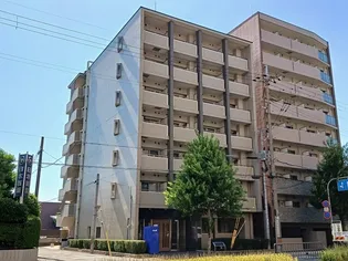 ステラ ランドの画像