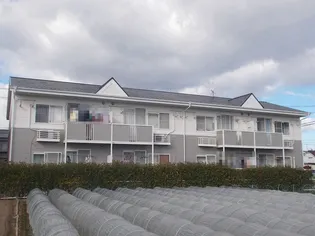 ノーザンクレセントの画像