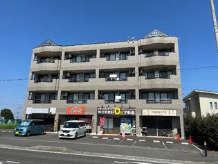 神奈川県平塚市北金目1丁目【マンション】の外観