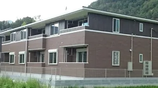 ネオ ブライトの画像