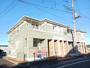 サザンクロスの画像