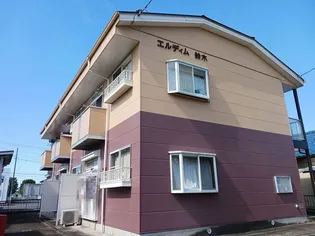 エルディム鈴木の画像