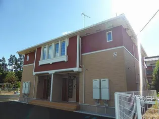 プラシードSの画像