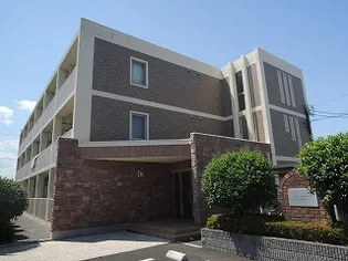 ティン グローブIIの画像