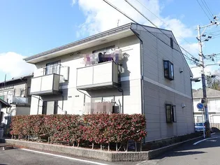 ビィー ウィステリアの画像