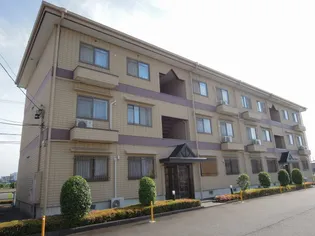 グランデージ堀の画像