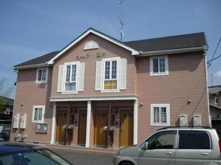 カメリア酒井の画像