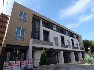 パリス デイジーの画像