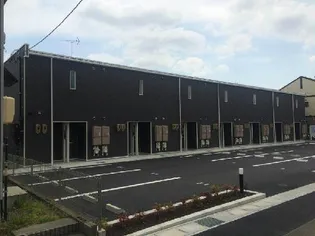 レオネクスト光の画像