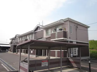 セトル カンフォタブルBの画像