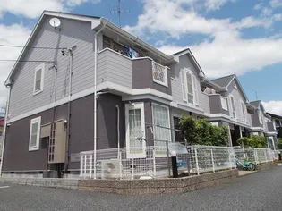 エクセランの画像