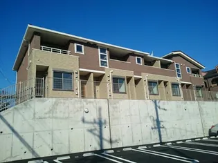 ステラIIの画像