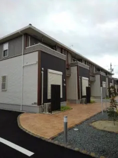 アムールの画像