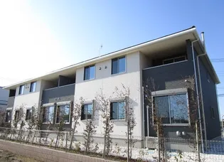 ドルチェ Tの画像