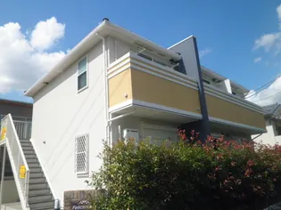 フェリシアの画像