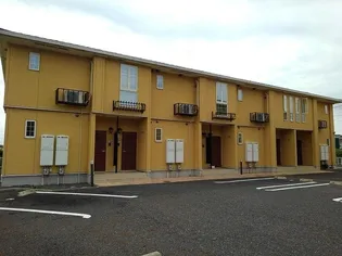 アヤソフィヤⅠの画像