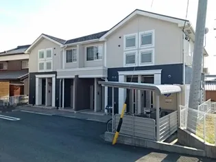 セラー養神の画像