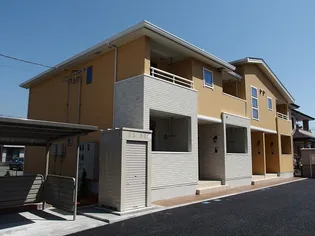 ステラ津田の画像