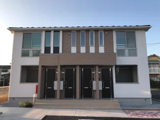 カリーノ花の画像