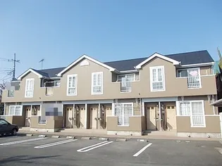 チェリーブロッサムCの画像