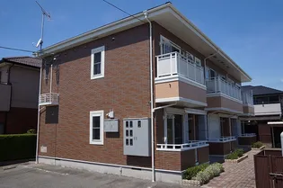 アクシスの画像