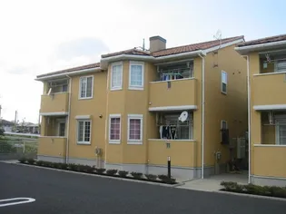 サンライト プリティーBの画像