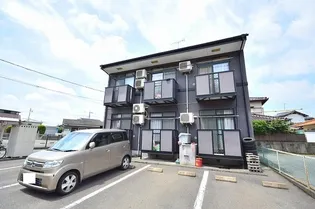 エクセル杉の画像