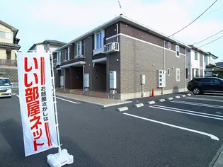 シンミア ディ コッティの画像