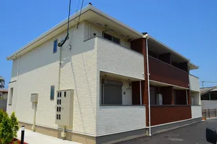 サウス バイオレットの画像