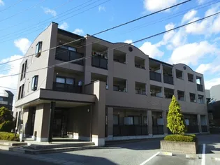 レインボウIIの画像