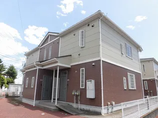 モーニング グローリーAの画像