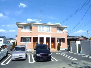 プラシード Iの画像