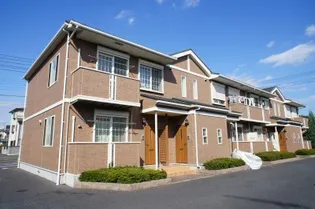 プリマヴェラの画像