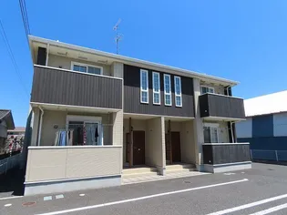 プラシードDの画像