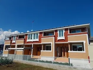 アンジュの画像