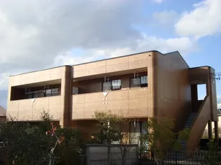 シェリ向山の画像