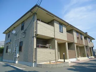 ガーデンステレイタの画像