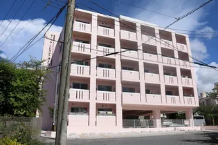 ヌーベル エレガント オナガの画像